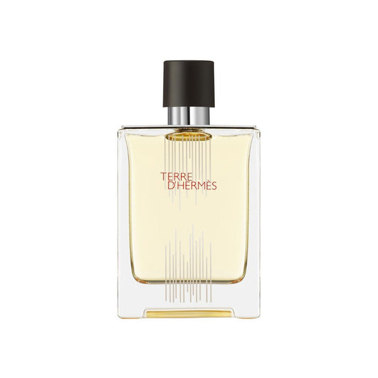 Hermes Terre D'Hermes Edt 100Ml
