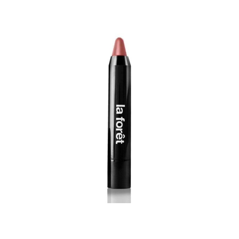 COLOR STICK LIPS N8 SYLVIE