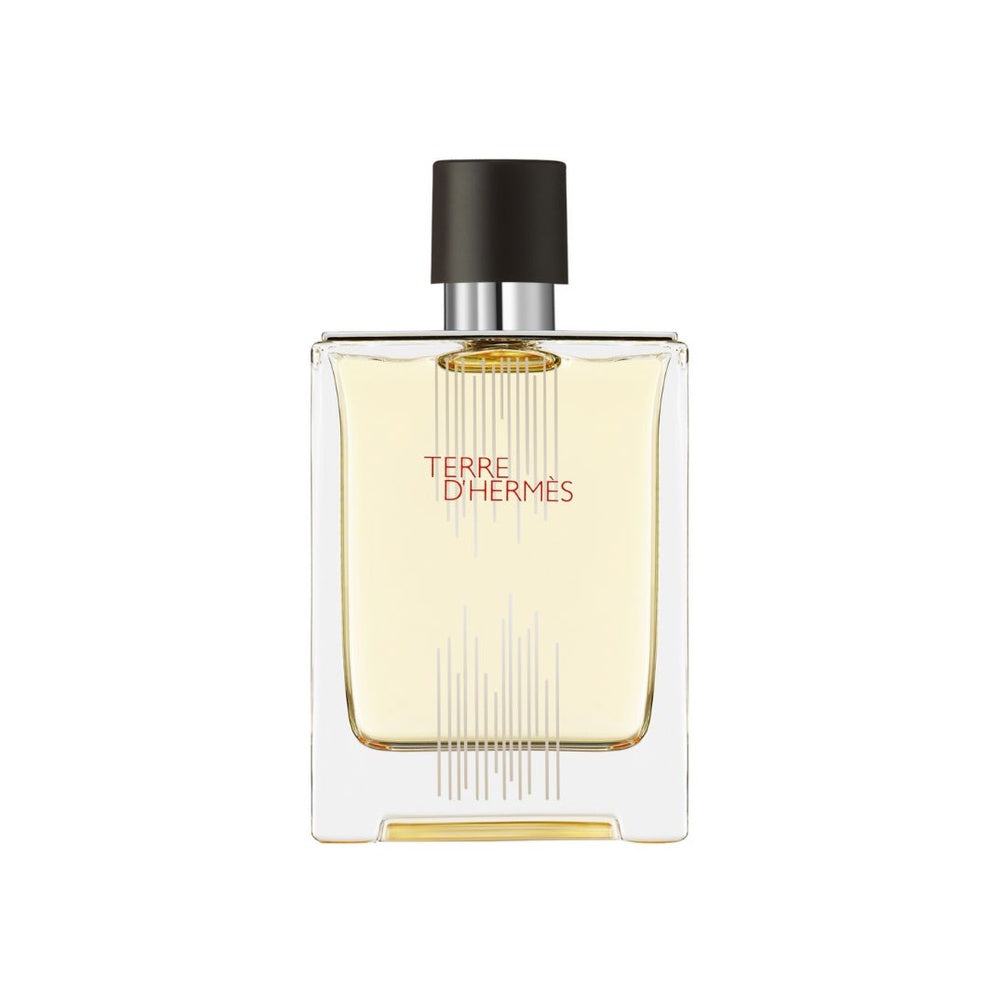 Terre d'Hermès Eau de Toilette 100ml Natural Spray