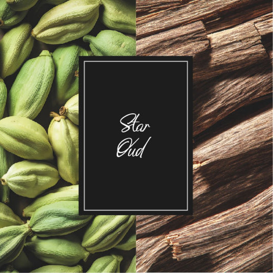 MBC COLL STAR OUD EDP 125ML