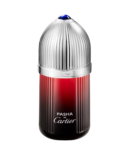 Perfume de Hombre Cartier Pasha Noire Sport EDT 100 ml
