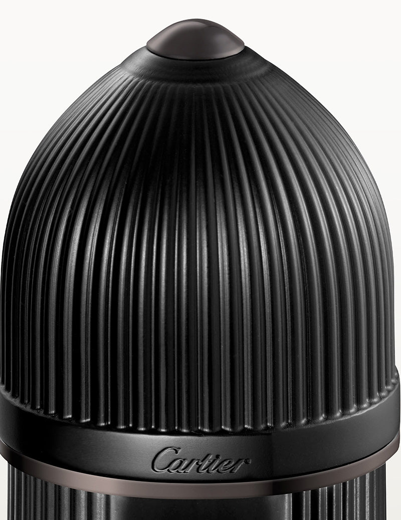 Perfume de Hombre Cartier Pasha Noir Absolute Parfum 100 ml