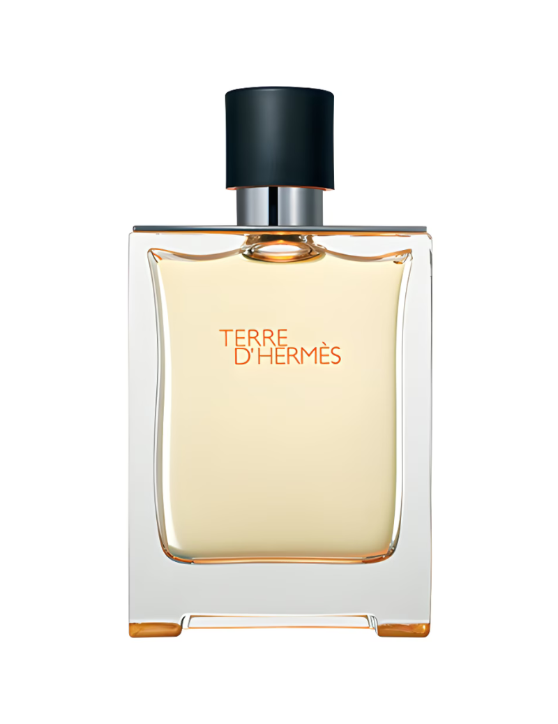 Terre d'Hermès Eau de Toilette 100ml Natural Spray
