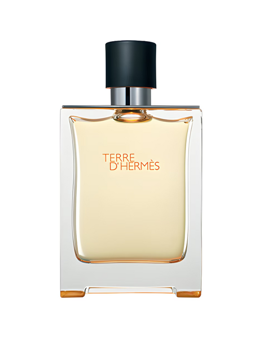 Terre d'Hermès Eau de Toilette 100ml Natural Spray