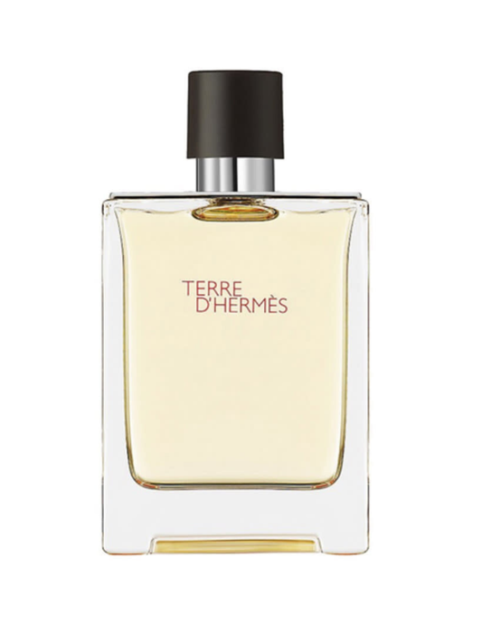 Hermes Terre D'Hermes Edt 100Ml