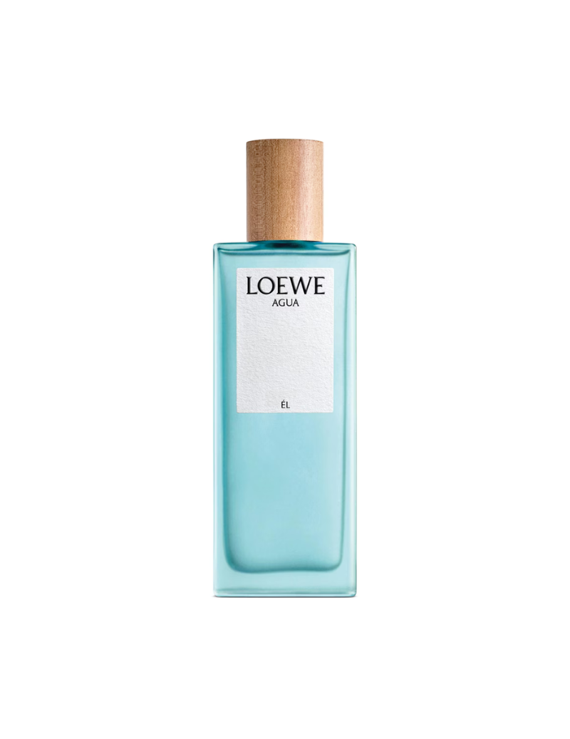Loewe Agua El Edt 100Ml